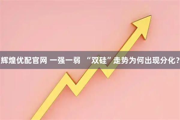 辉煌优配官网 一强一弱  “双硅”走势为何出现分化？